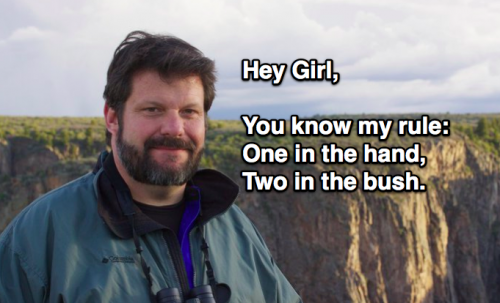 Hey Girl Birding