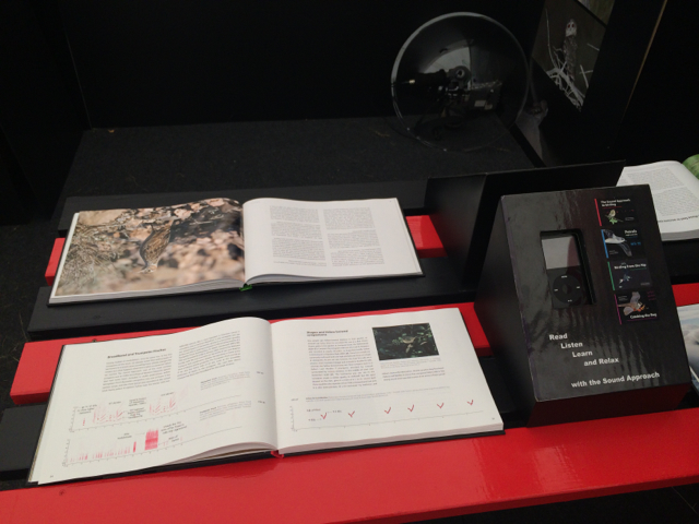 The Sound Approach series...look at that old school iPod...I almost ignored this booth based on that. 