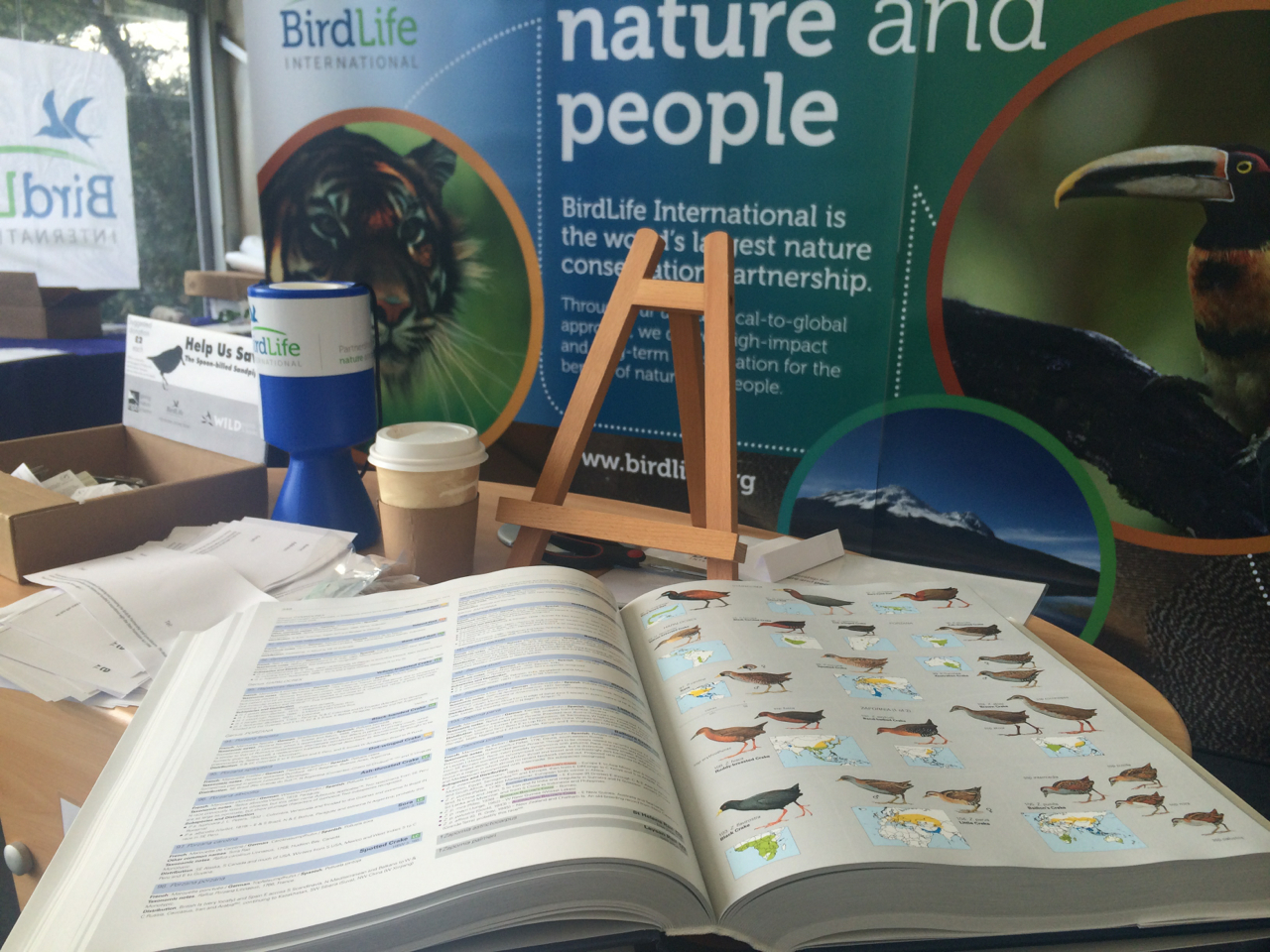 Check this out, it's the new Illustrated Checklist of the Birds of the World ... get it now while it's hot...and before the taxonomy changes. 