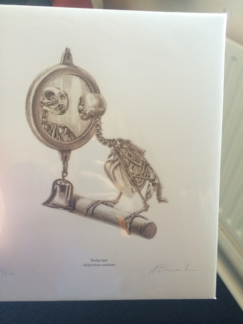 A signed print from one of my favorite bird artists: Katrina van Grouw of The Unfeathered Bird .