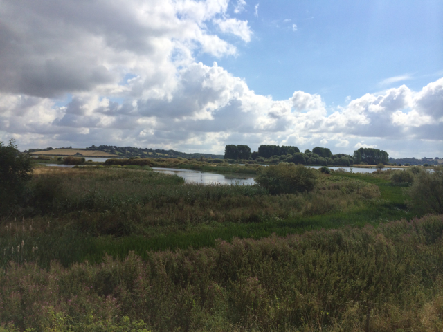 View from the Swarovski Optik tower of Rutland Water Reserve. 