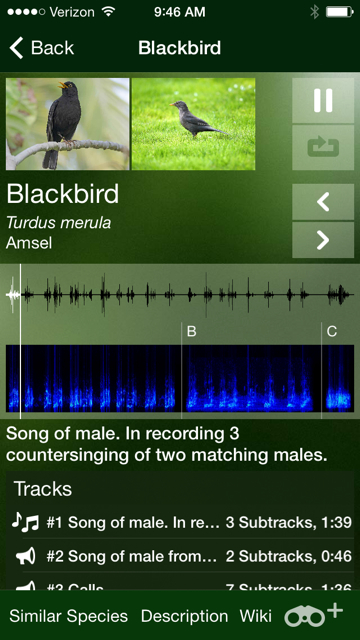 This was a cool bird song app that I downloaded for the trip and is called Bird Songs of Europe, North Africa and the Middle East. 