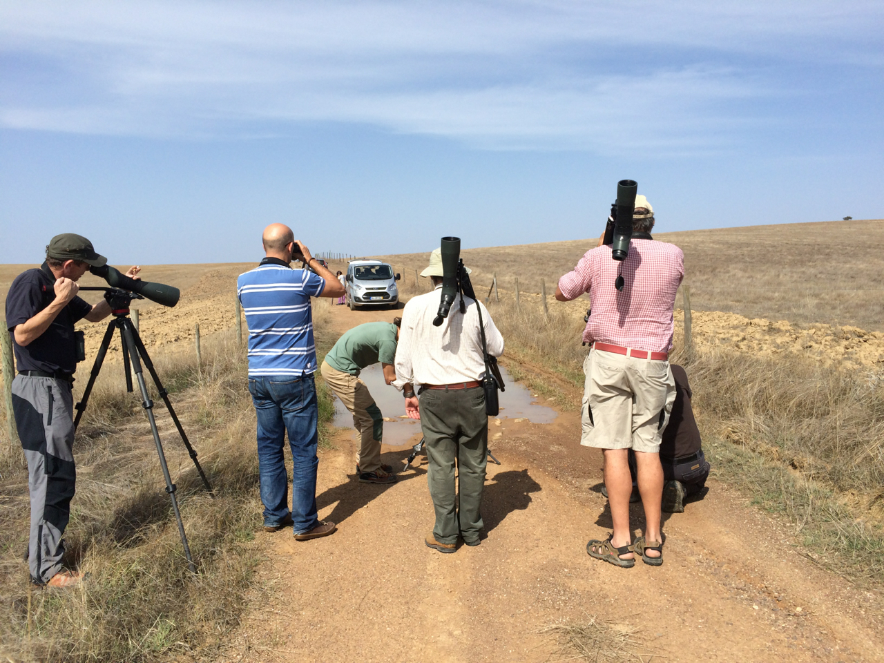 Though we are birders, we are interested in all things natural. A puddle in the middle of the road yielded some fun.