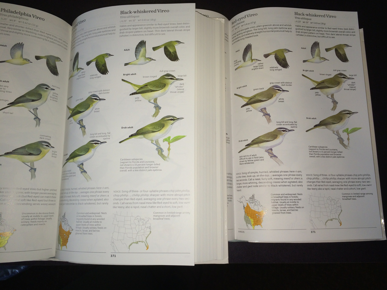 Some greens were corrected as well, here is a vireo comparison page. First printing on the left, second printing on the right. 