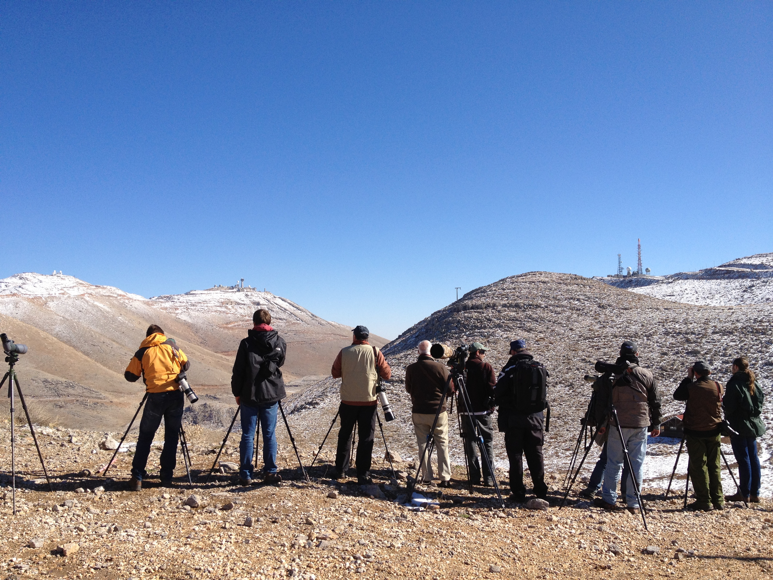 Birders at Mount Hermon.
