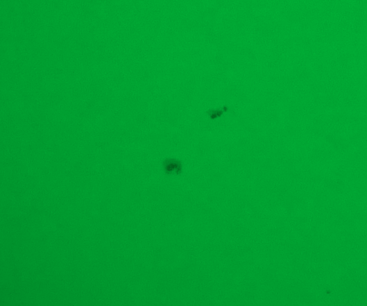 Sun spots digiscoped by Robert Hunt.