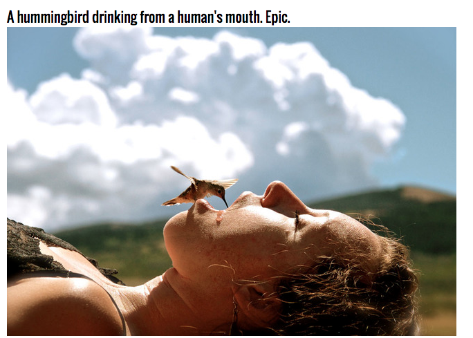 This is the worst hummingbird feeder every. Really, don't do this.