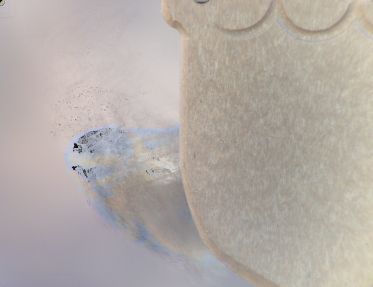I think this is supposed to be a hairy woodpecker. 