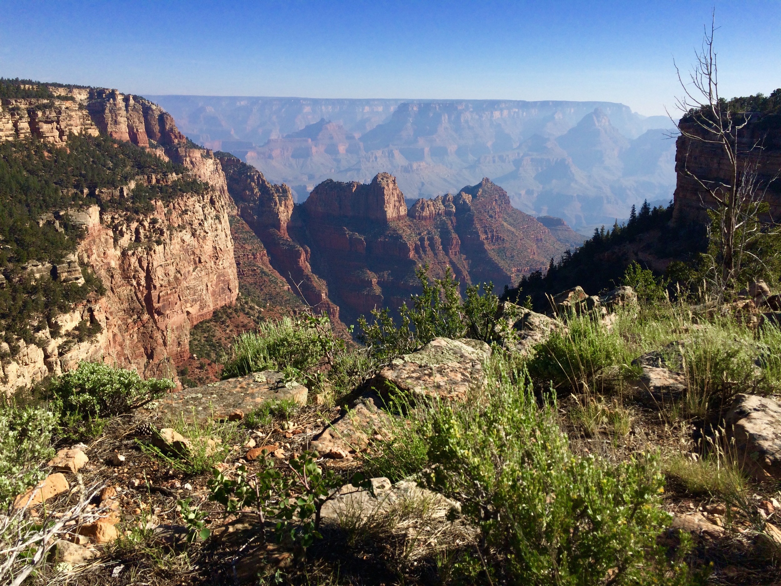 A remote view we found of the canyon where there were no tourists courtesy of the BirdsEye app.