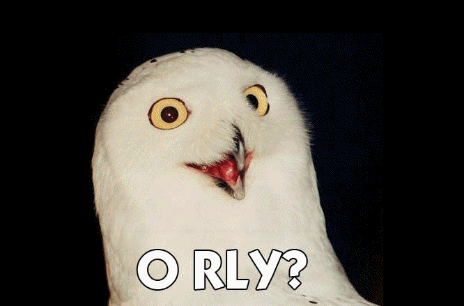 Podcast #196 BIRD DRAMA