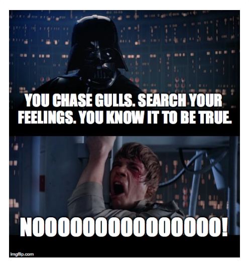 Birdchick Podcast #201 Gulls, Spoilers and Weirdos