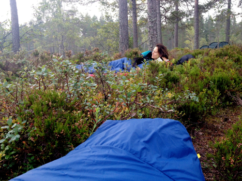 Forgoing huts or tents, we spent a night sleeping directly under the stars and woke to black-throated divers yodeling off the lake in the morning. 