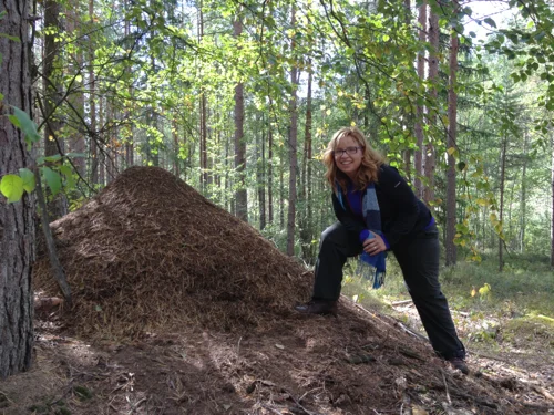 Me next to an ant mound. As part of of our survival training we got to taste ants. They had a citrusy flavor when stressed. 