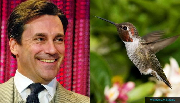 Birdchick Podcast #205 Necrophilia, Jobs and Jon Hamm