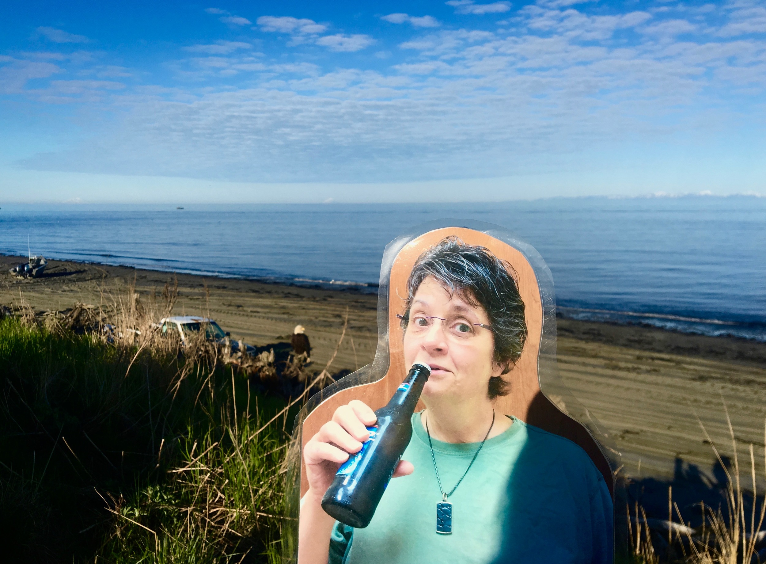 Here's Flat Michelle with an obligatory Alaska bald eagle photo. 