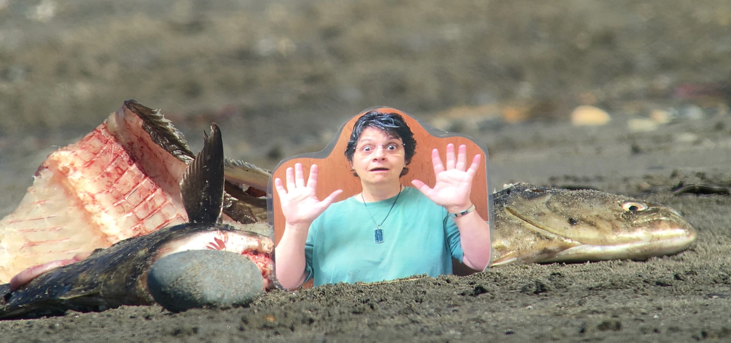 Flat Michelle posed with some halibut carcasses. 