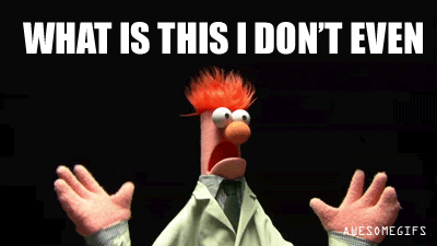 Most of my friends' reaction to the ocelot selfie.