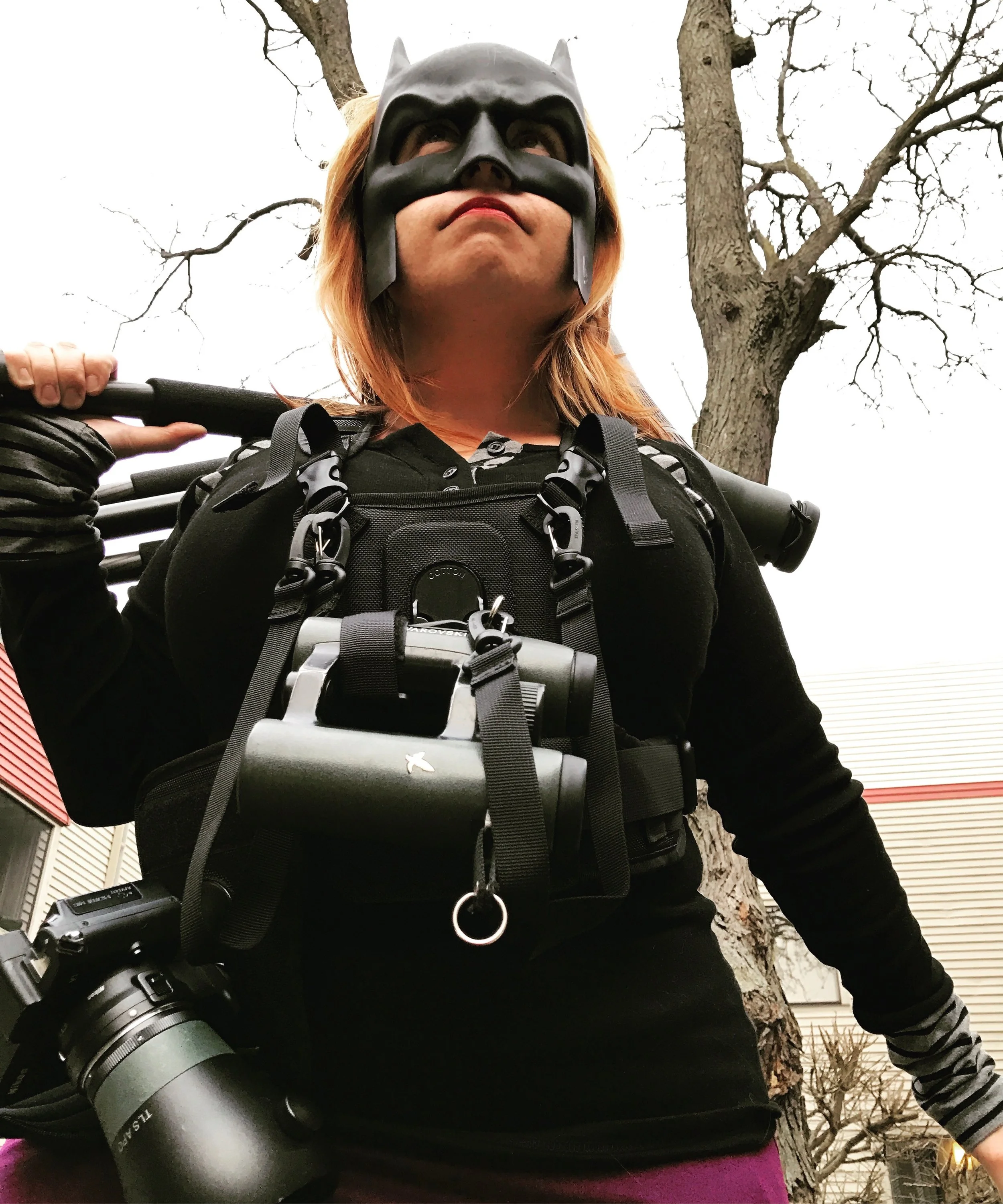 The harness accessorizes well with a Batman Cowl. 