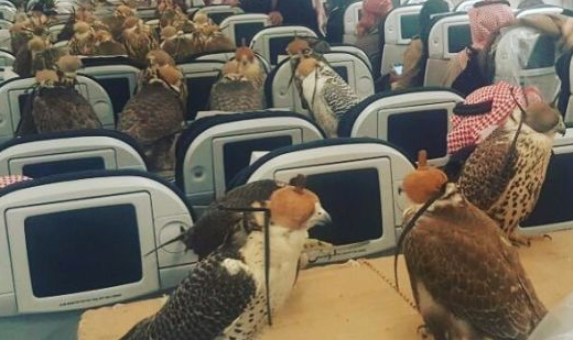 Birdchick Podcast #218