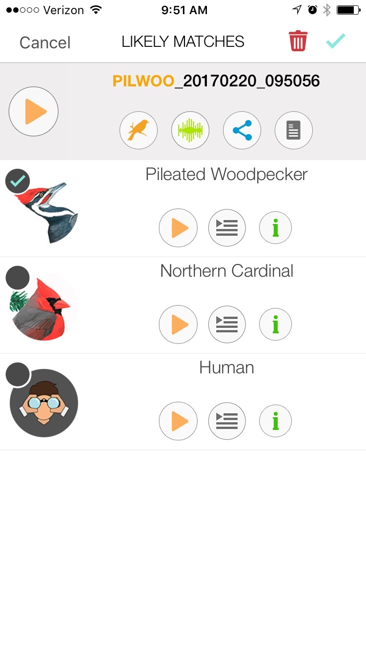 The Song Sleuth app brings up a list of three possible identifications to your recording. You'll note the app brings up humans as a possibility. It also includes some frog and squirrel species which is pretty cool considering how many people mistake mammals and frogs for birds sounds. 