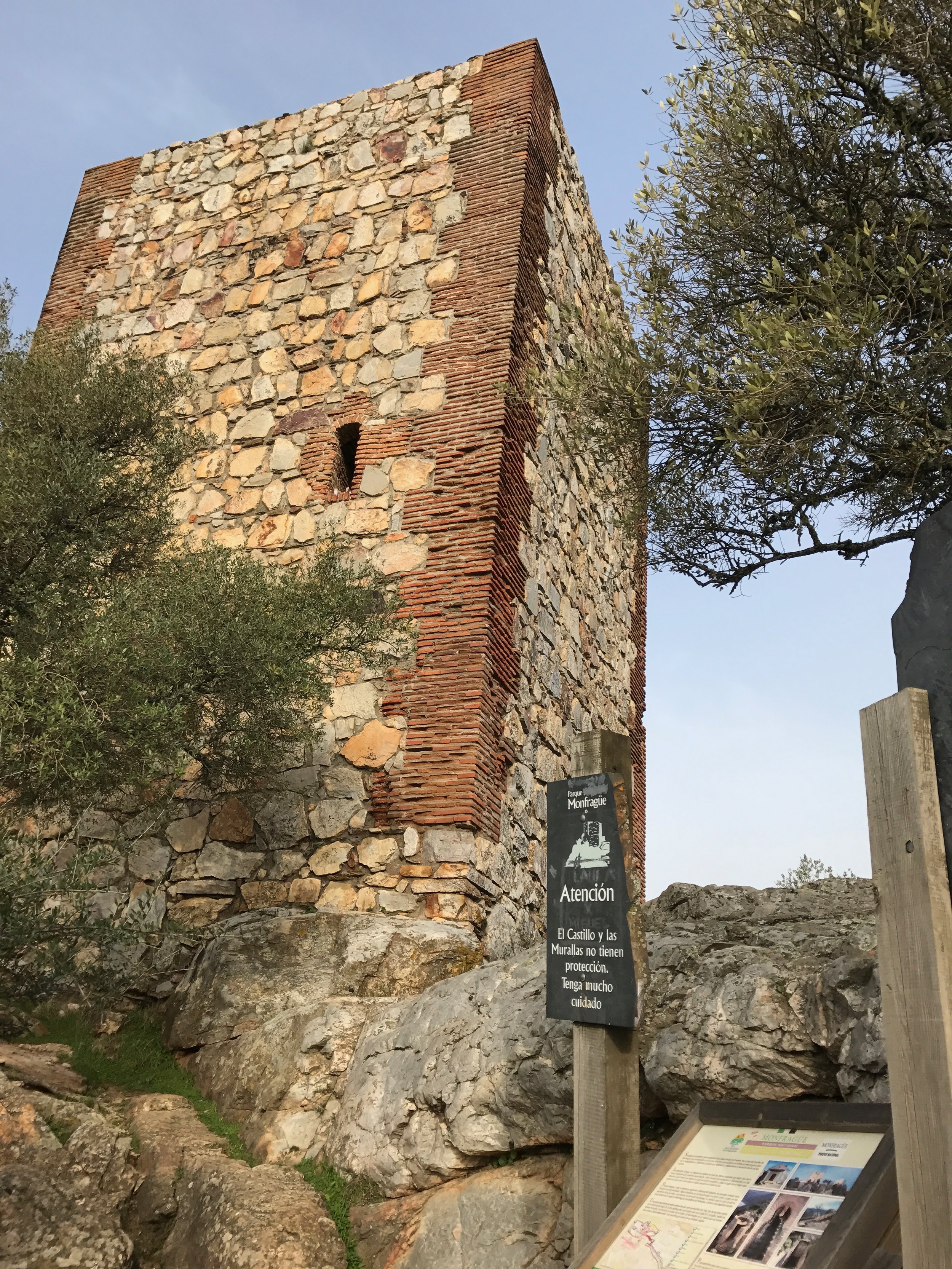 The castle in Monfragüe National Park offers dynamite views of griffon and black vultures as well as song birds on the trail up to it. 