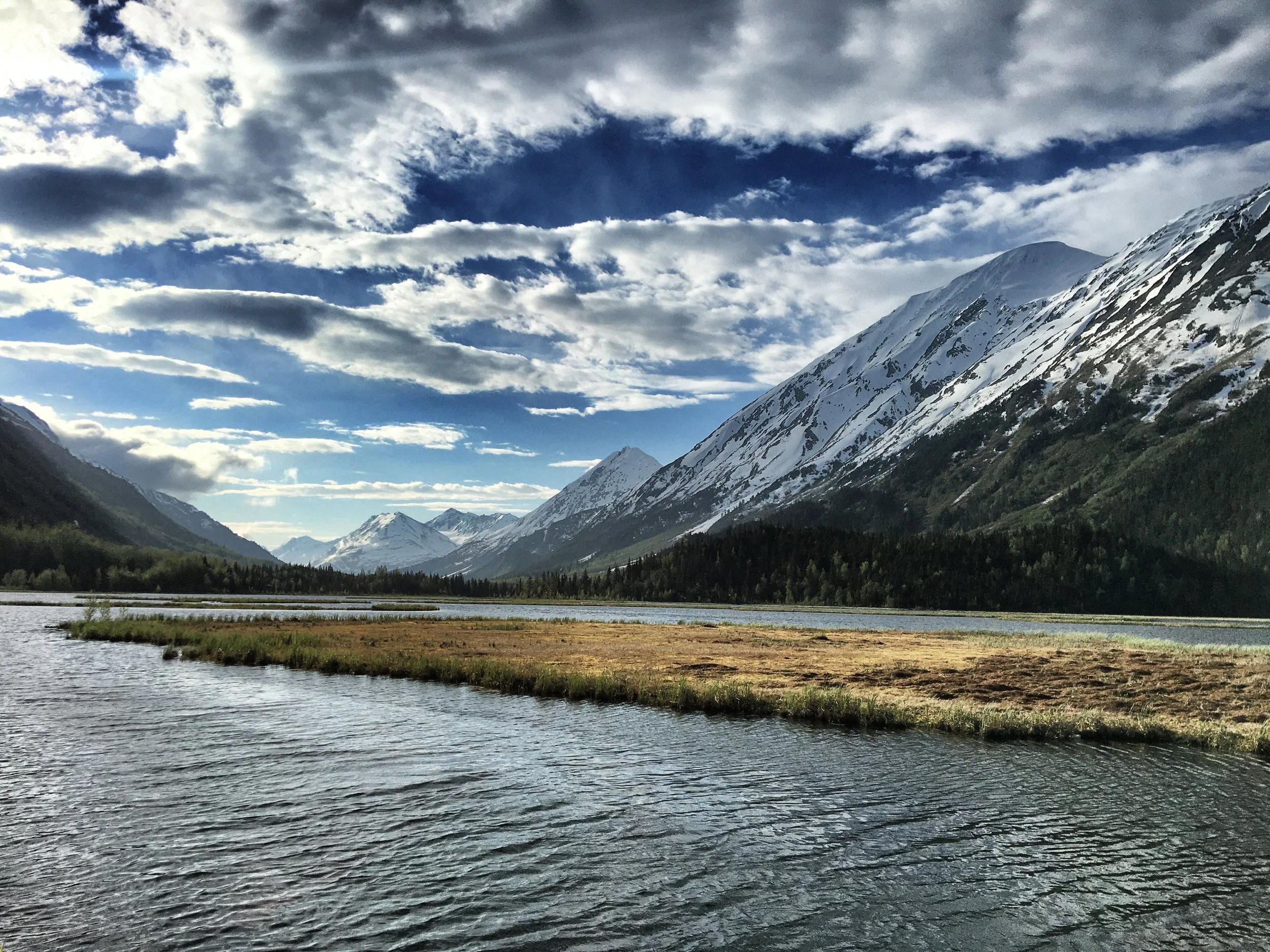 Everywhere you look in Alaska you see a Bob Ross painting. This is Chugach National Forest , Moose Pass between Anchorage and Homer.