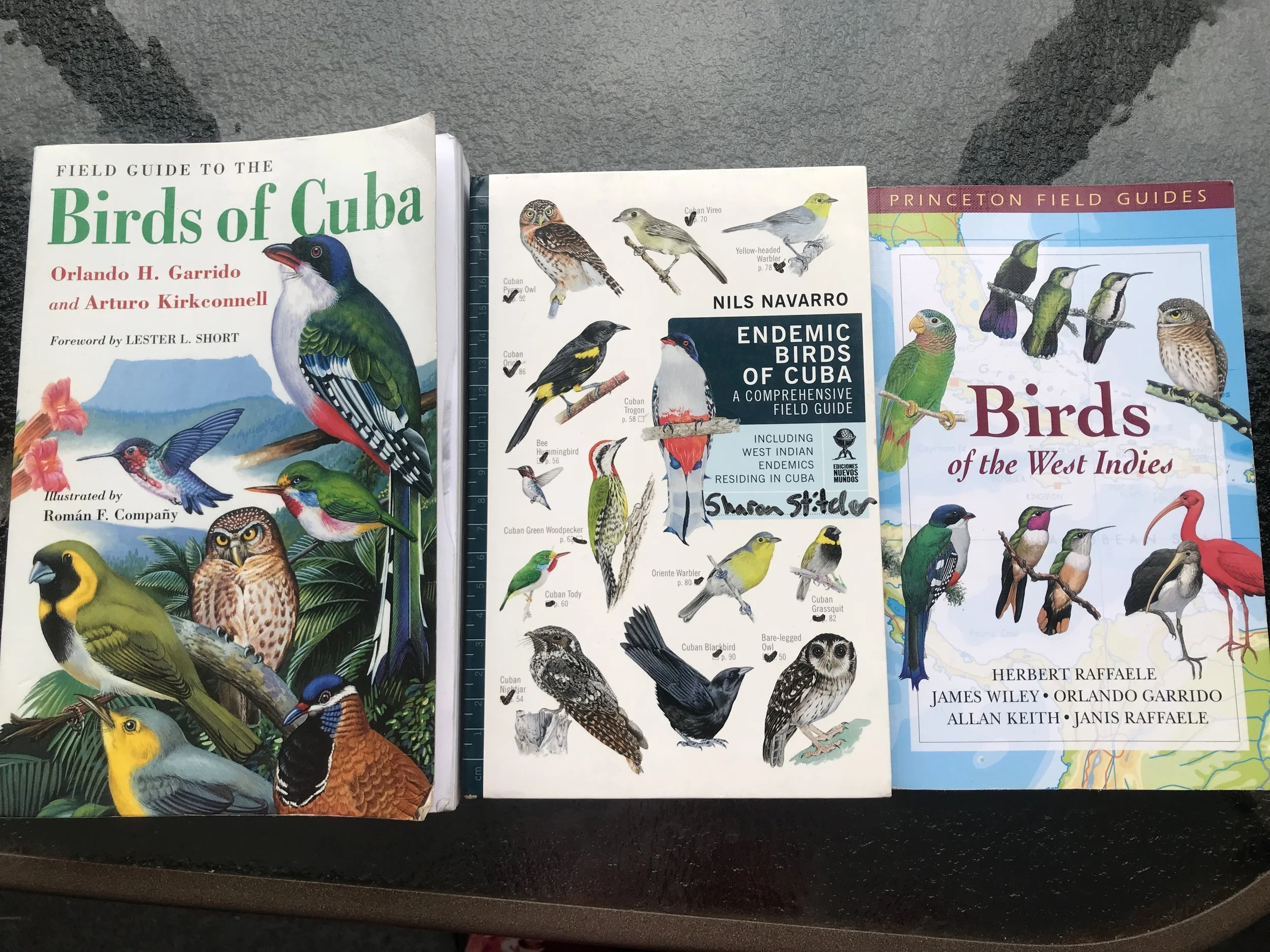 Cuba Birding Trip Planning
