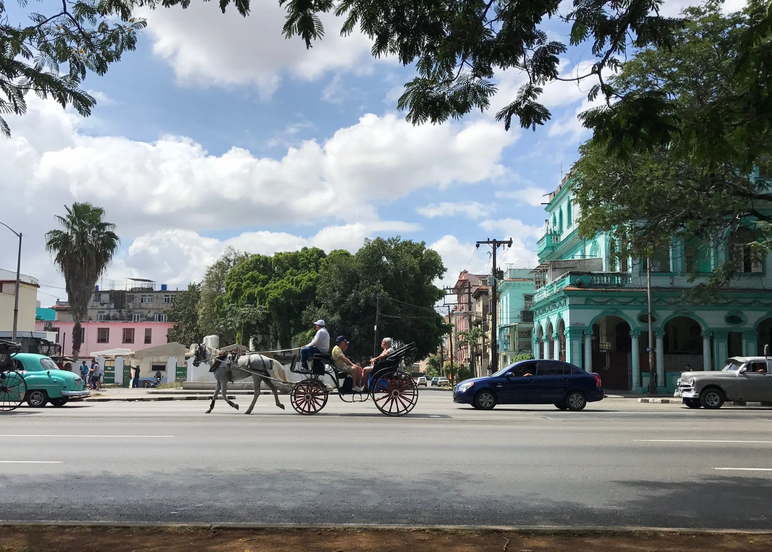It's not all classic cars in Havana. There's the horse and buggy crowd as well. 