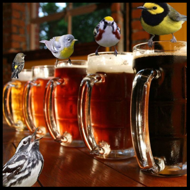 Screen Shot 2018-01-30 at 8.36.13 PM.png