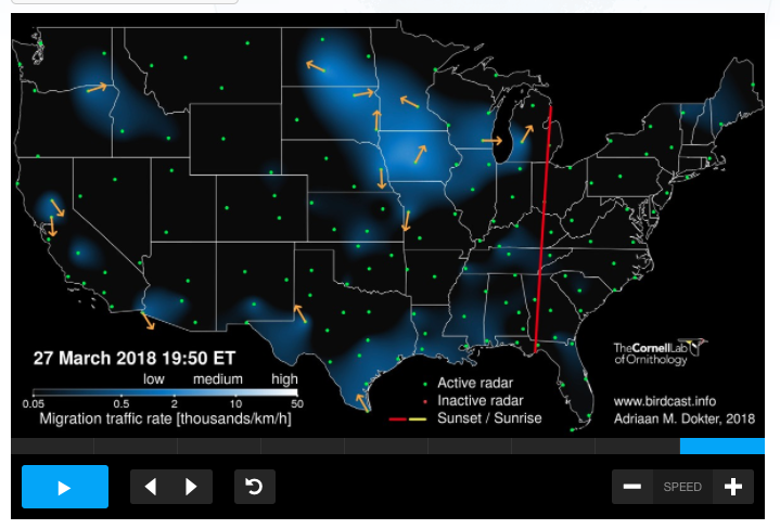 Birdchick Podcast #233 Migration! Laura Erickson, Bird Farts