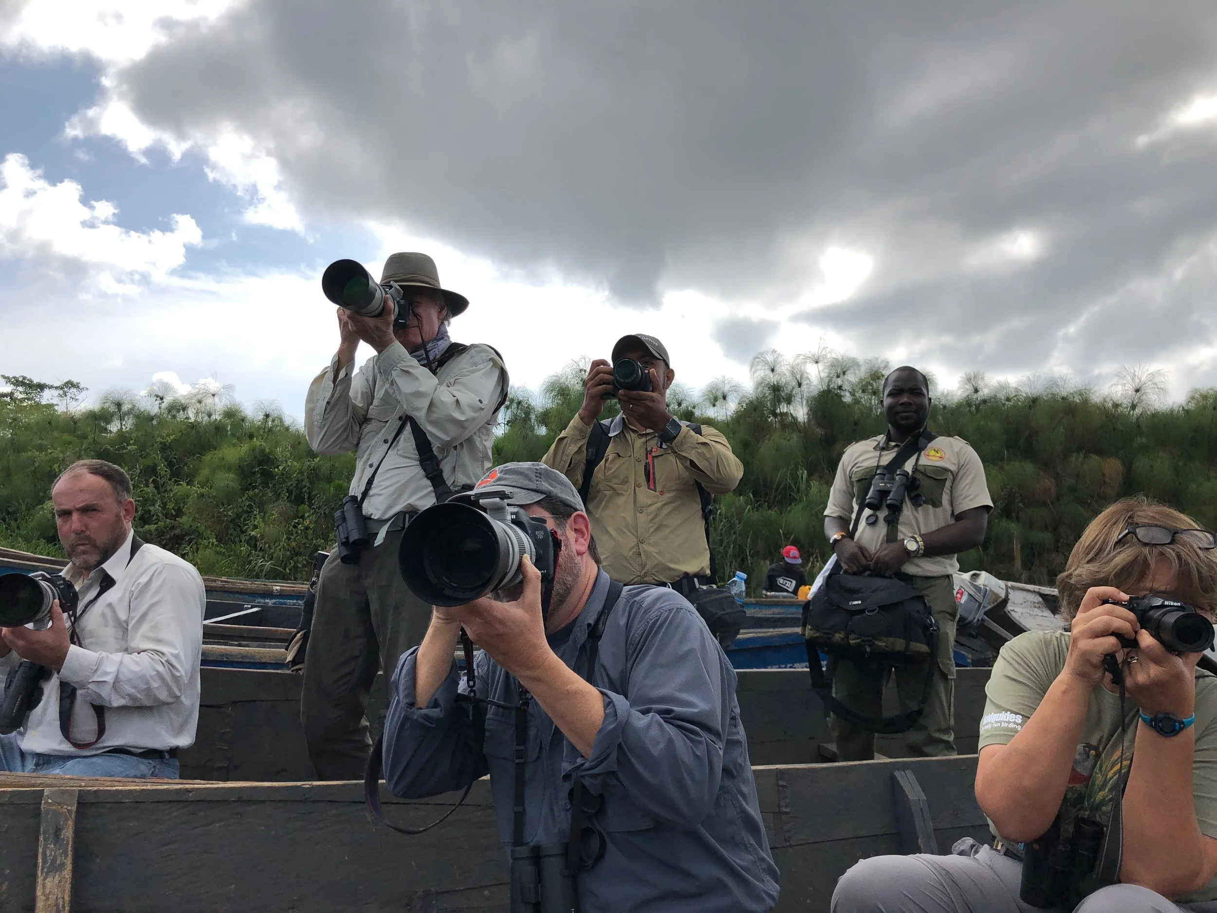 I turned around and discovered that everyone else in my group was excited by a close up hammerkop!