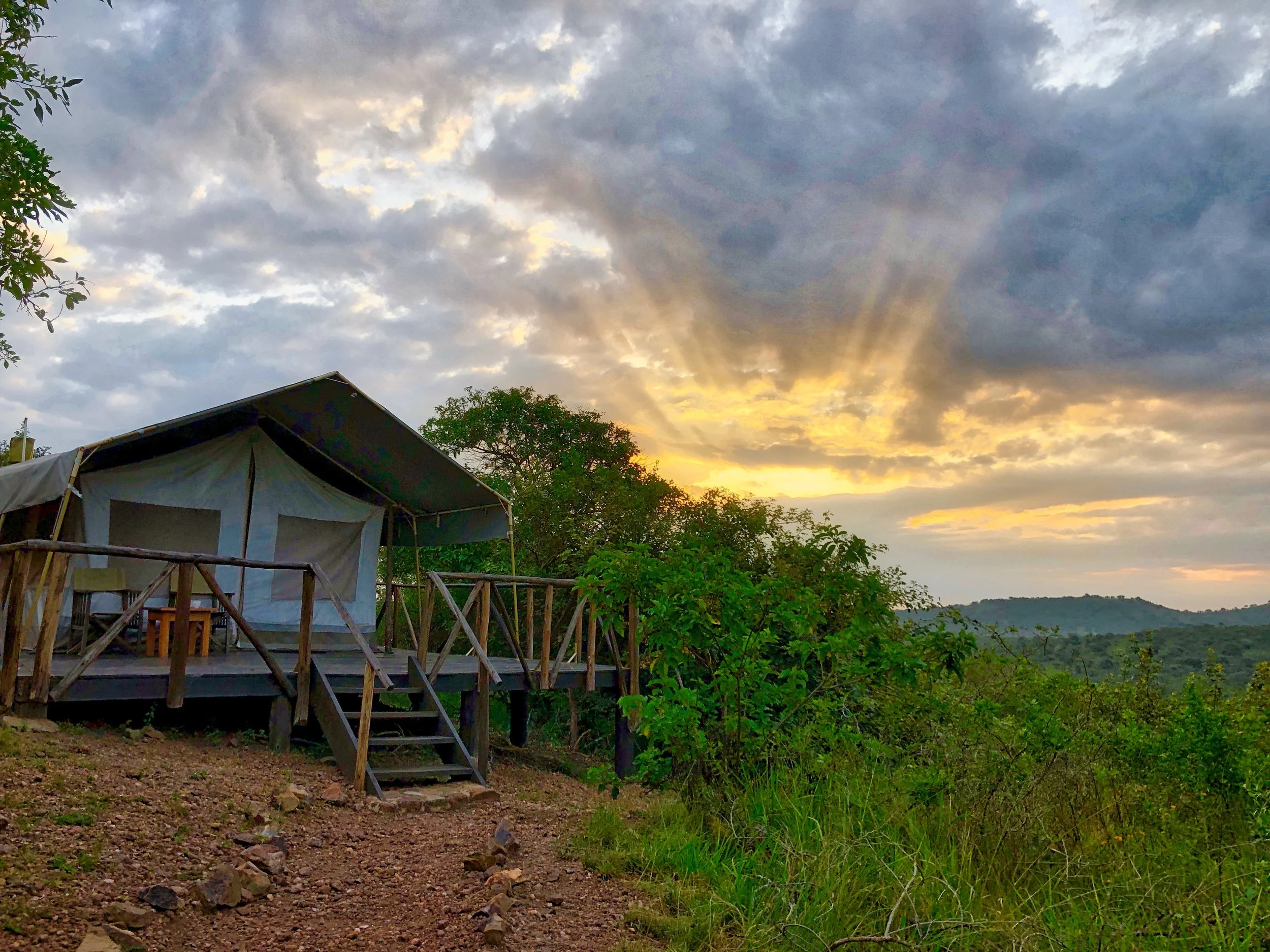 Birding Lake Mburo National Park 