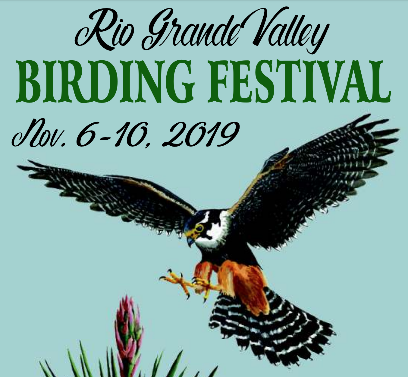 Rio Grande Valley Birding Festival