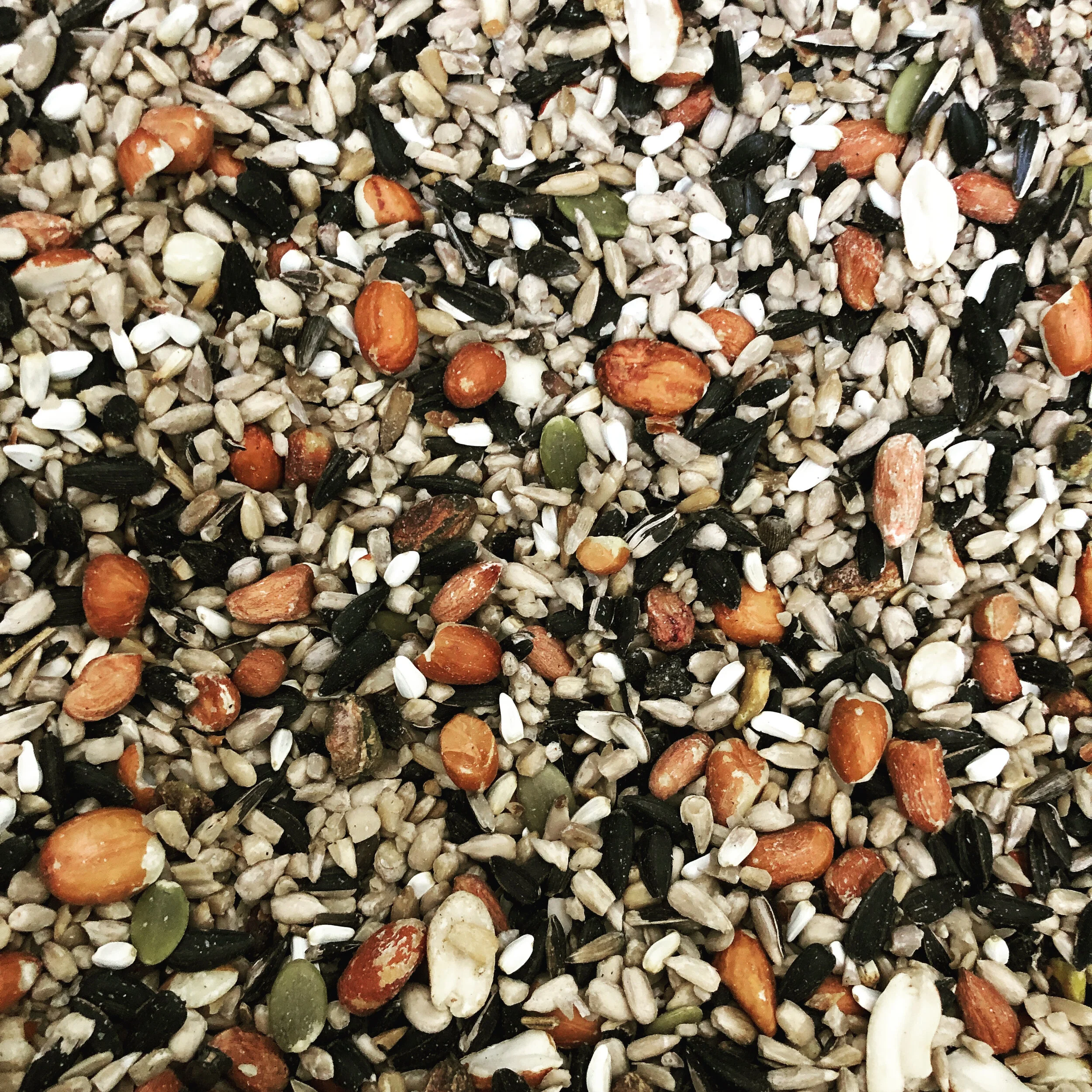 What's The Best Bird Seed Mix To Buy?