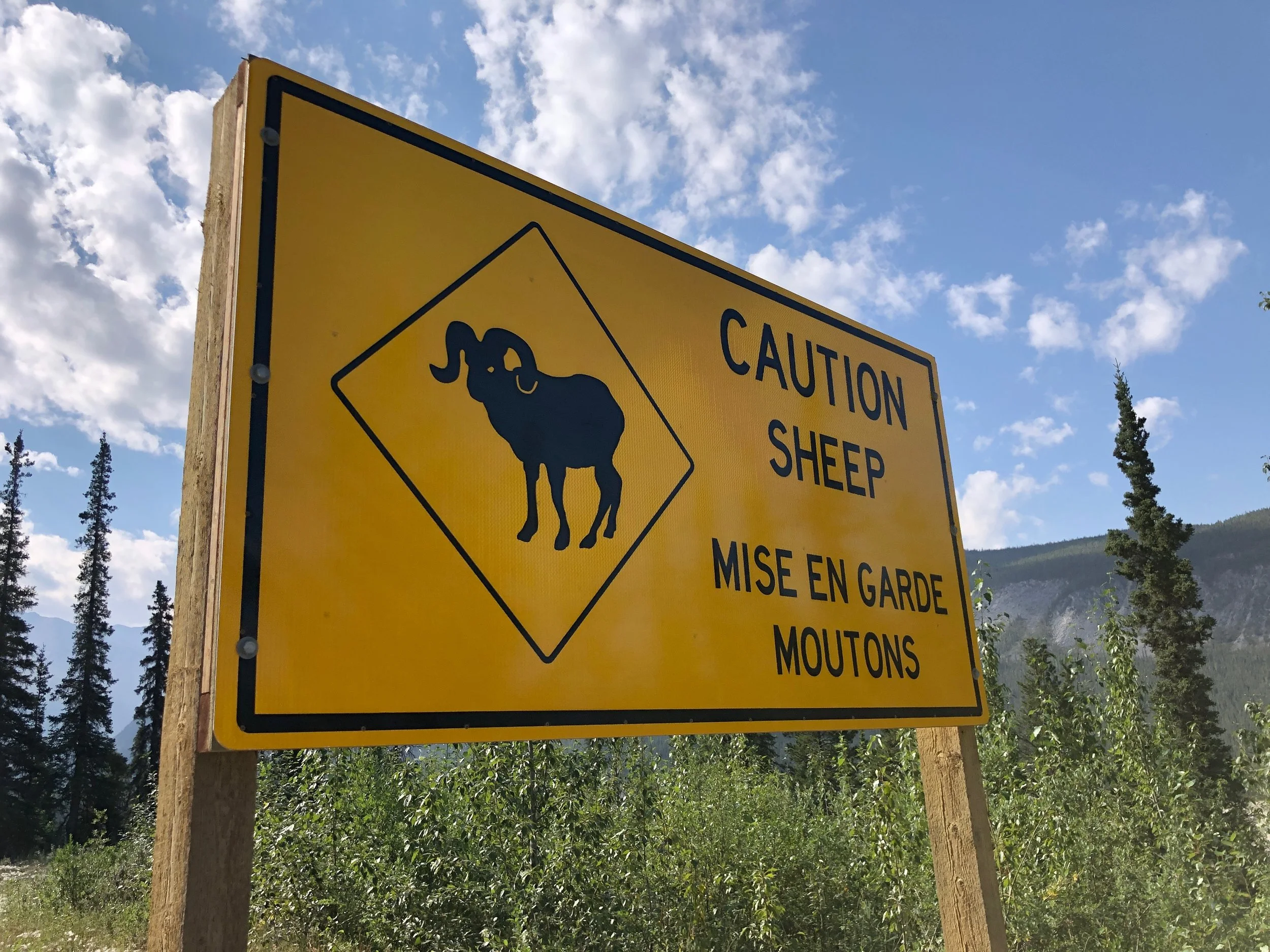 Driving From Minnesota to Alaska