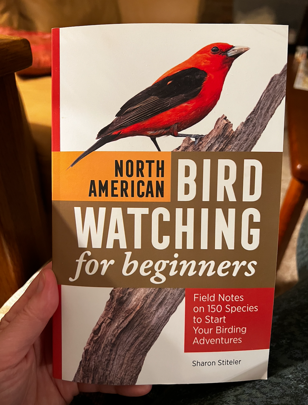 My Latest Book: North American Birdwatching for Beginners