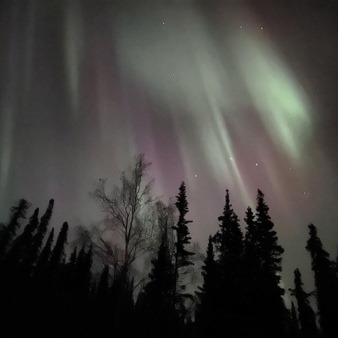 A few meteors streaked the sky while the lights were out last night. #AlaskaLife
