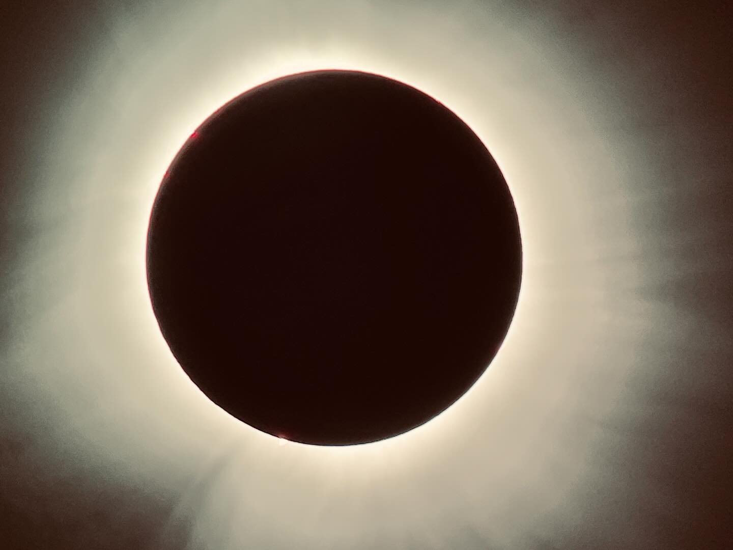 Spent time with old friends. Made a slew of new friends. Got to absorb some #BigWriterEnergy. Wore a sundress. Enjoyed some spring #birding. And saw one hell@of a celestial event. I am thankful. #Phoneskope #swarovskioptik #dgiscoping #eclipse