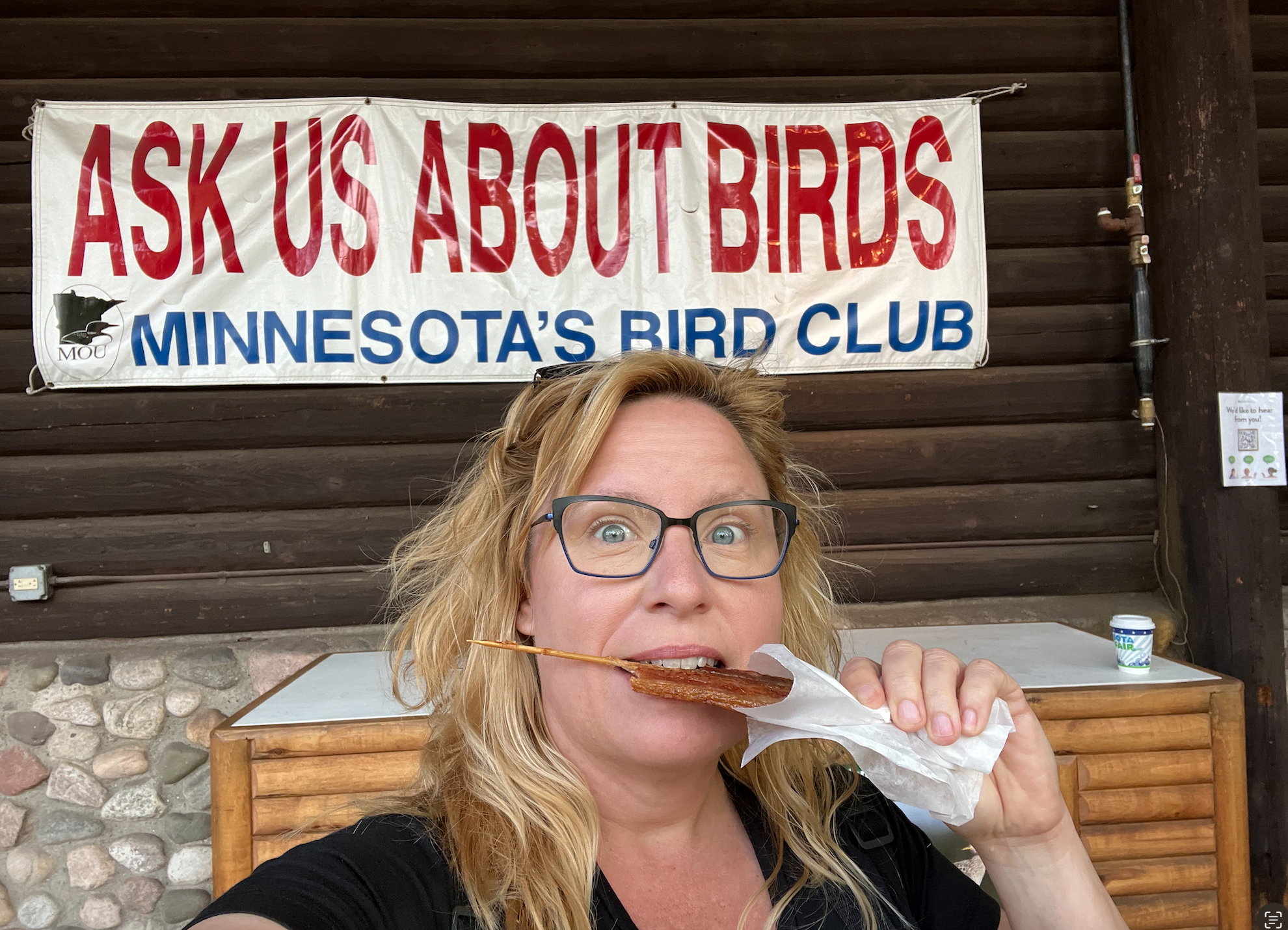 Minnesota State Fair