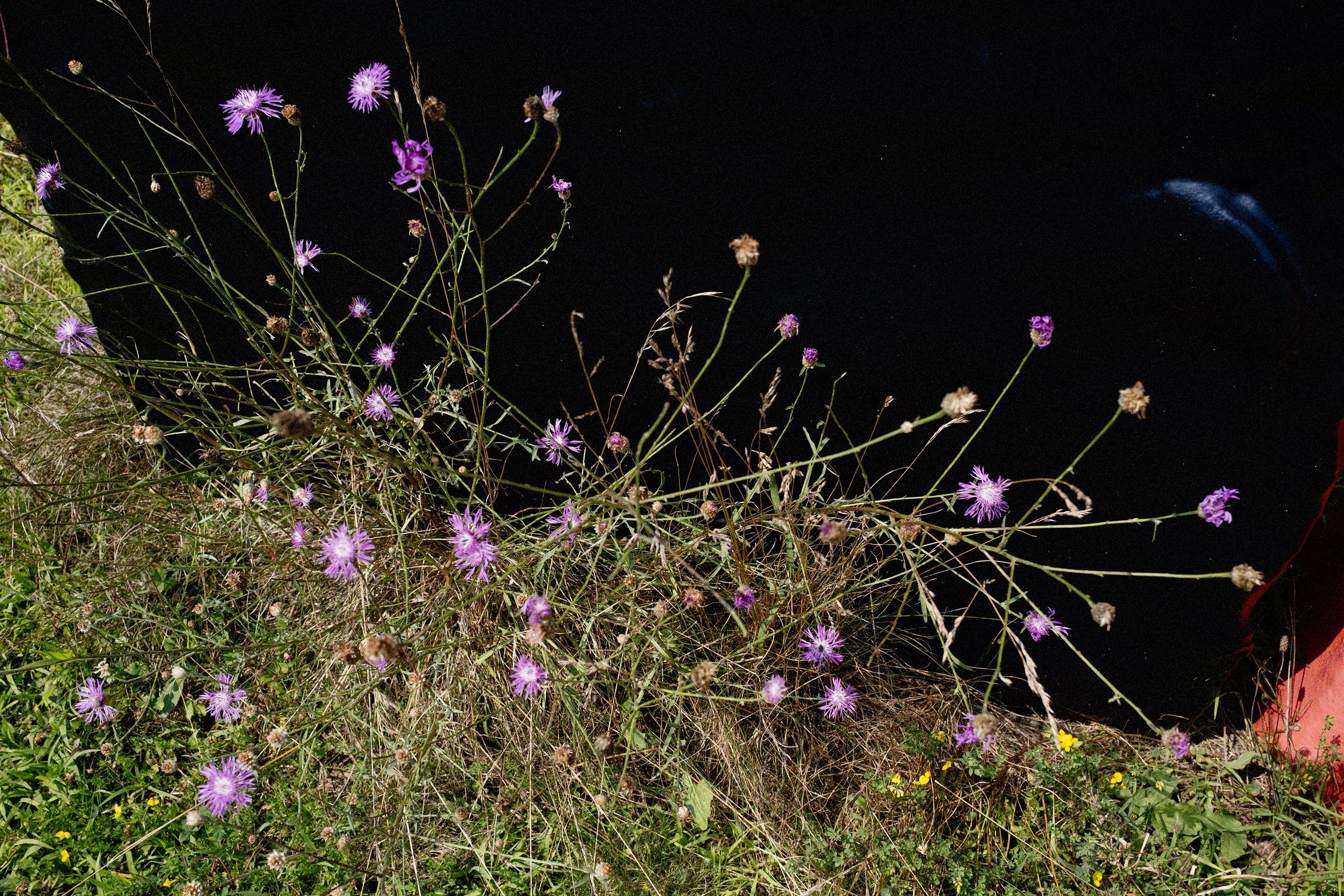 DSCF9314 copy.jpg