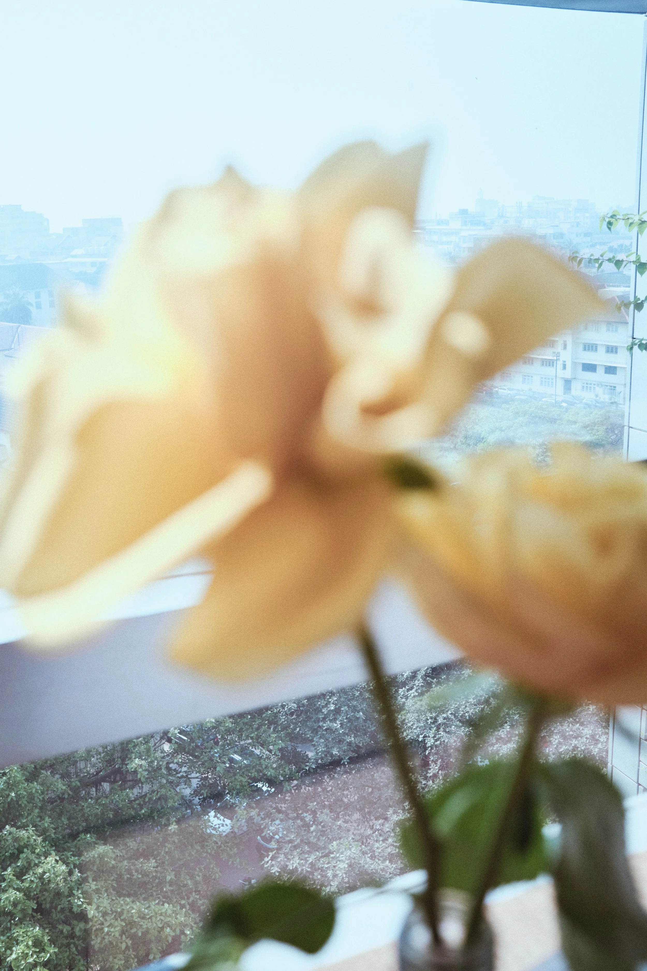 DSCF0941.jpg