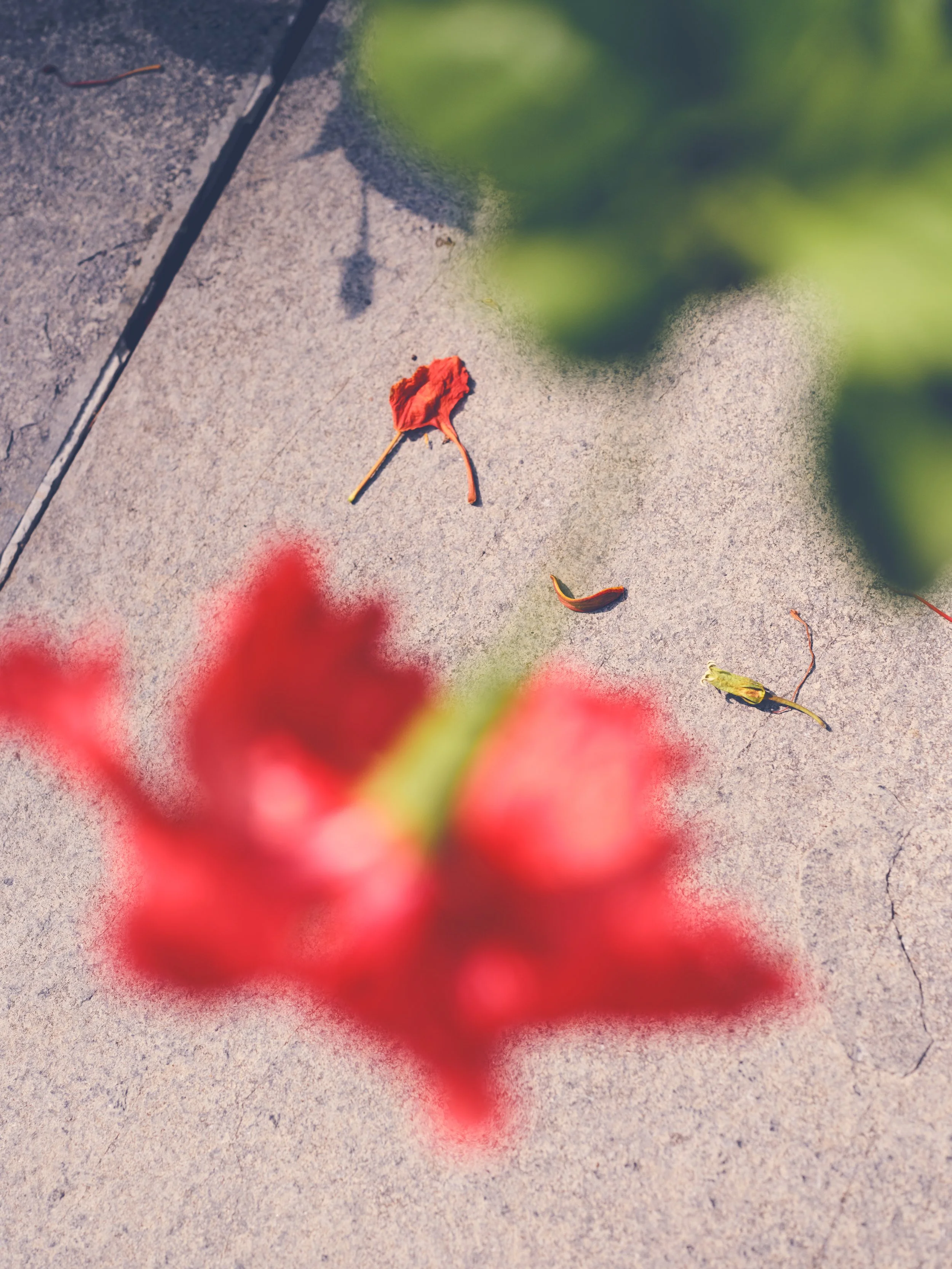 DSCF3640.jpg