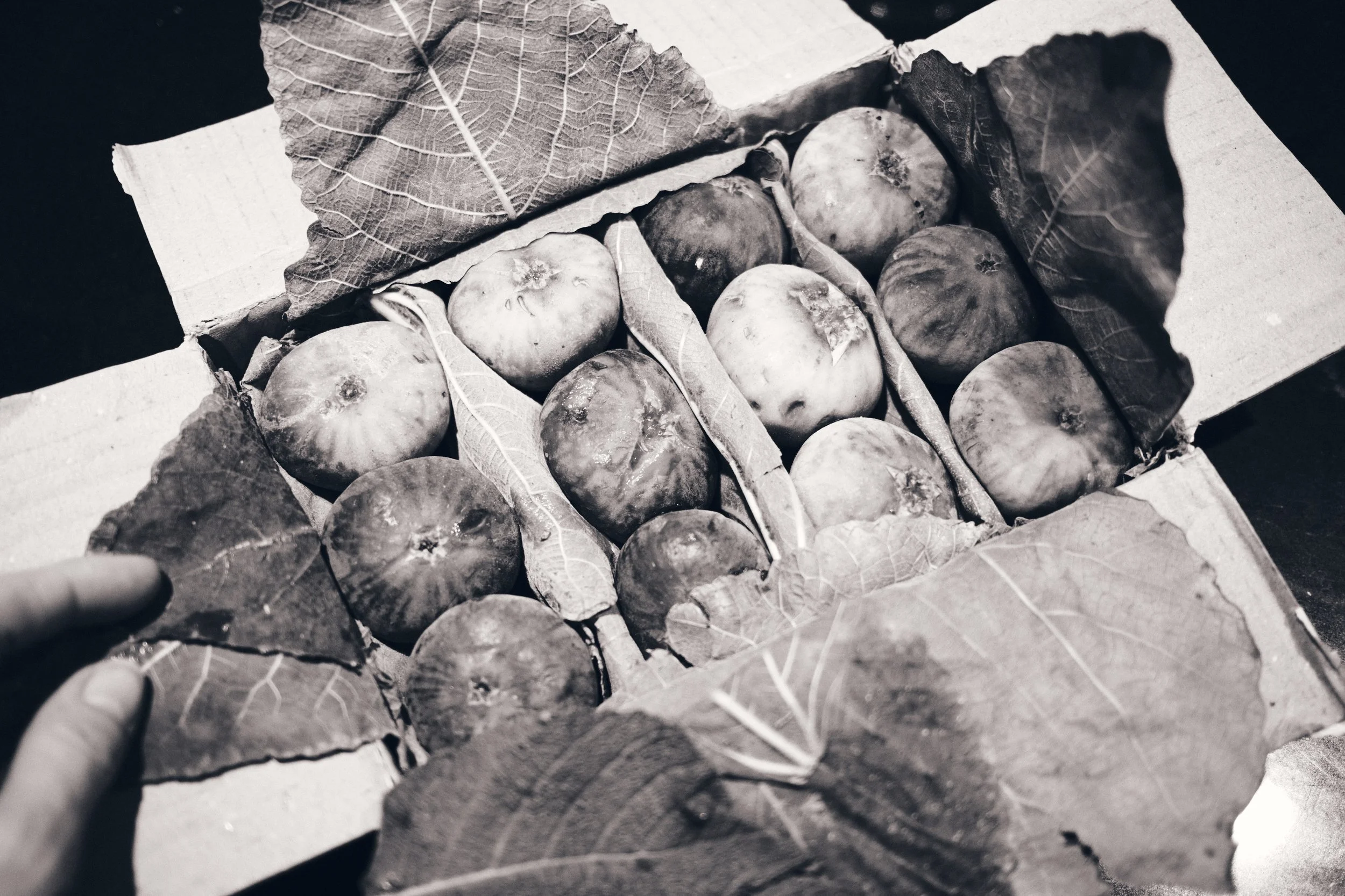 DSCF0652 1.jpg