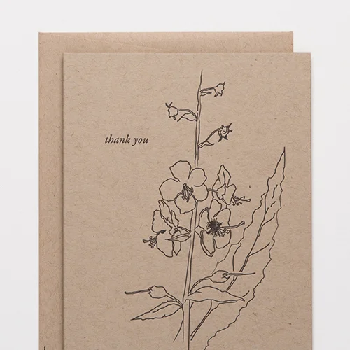 Thank-You-Floral-B.jpg