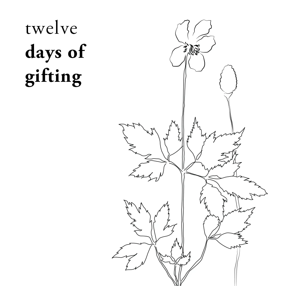 12 Days of Gifting