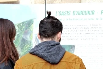 KNOTS & BUNS: FRENCH FASHION FAUX PAS?