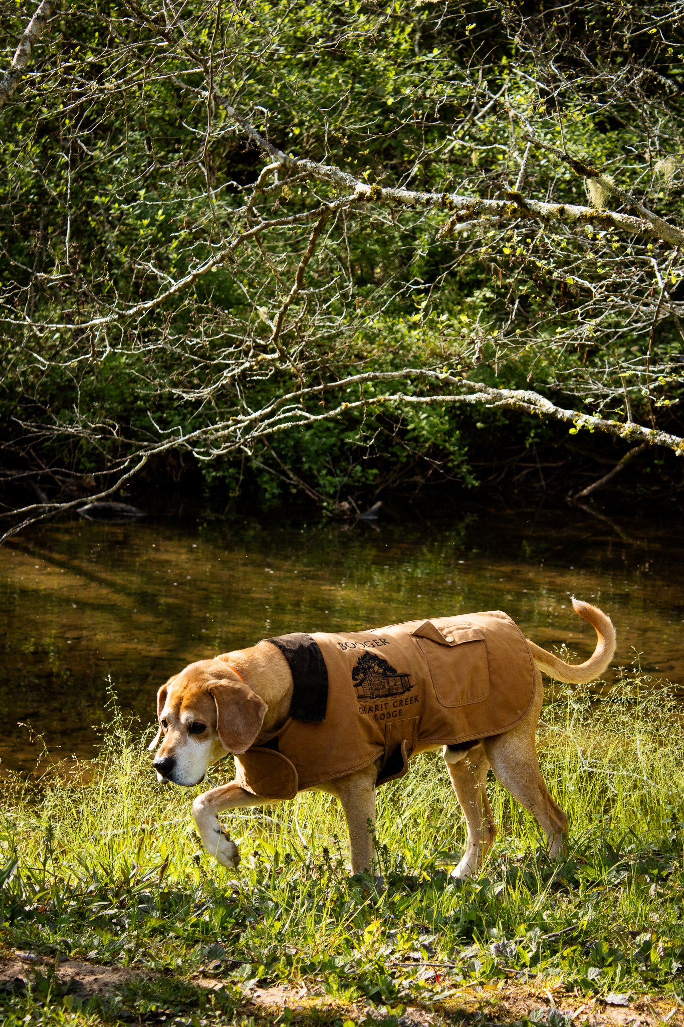 Charit-Creek-Shoot-122.jpg