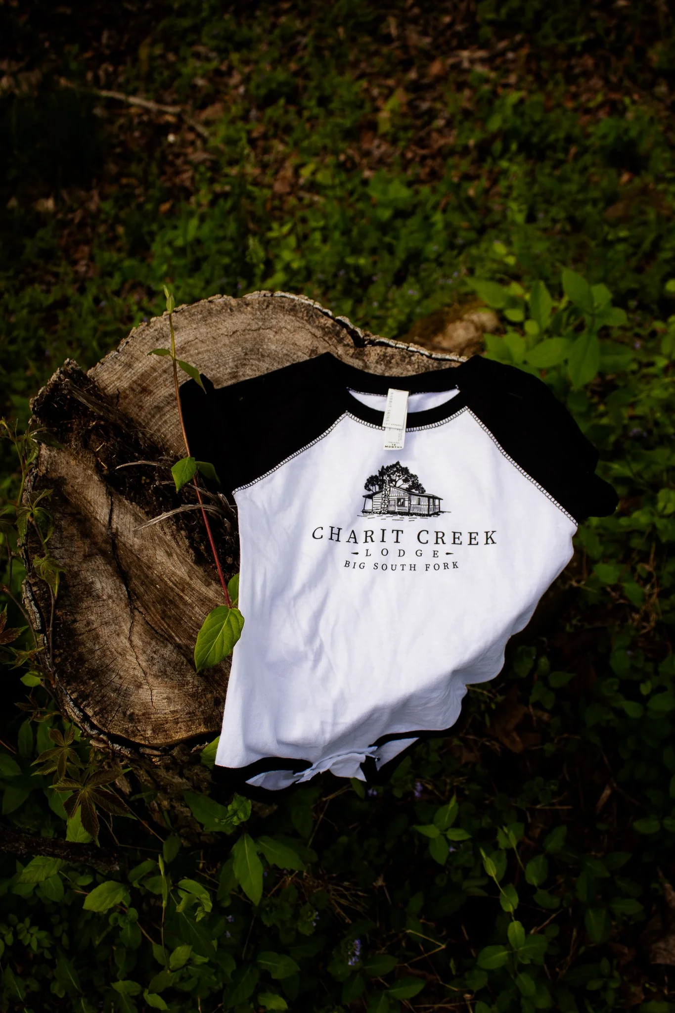 Charit-Creek-Shoot-180.jpg