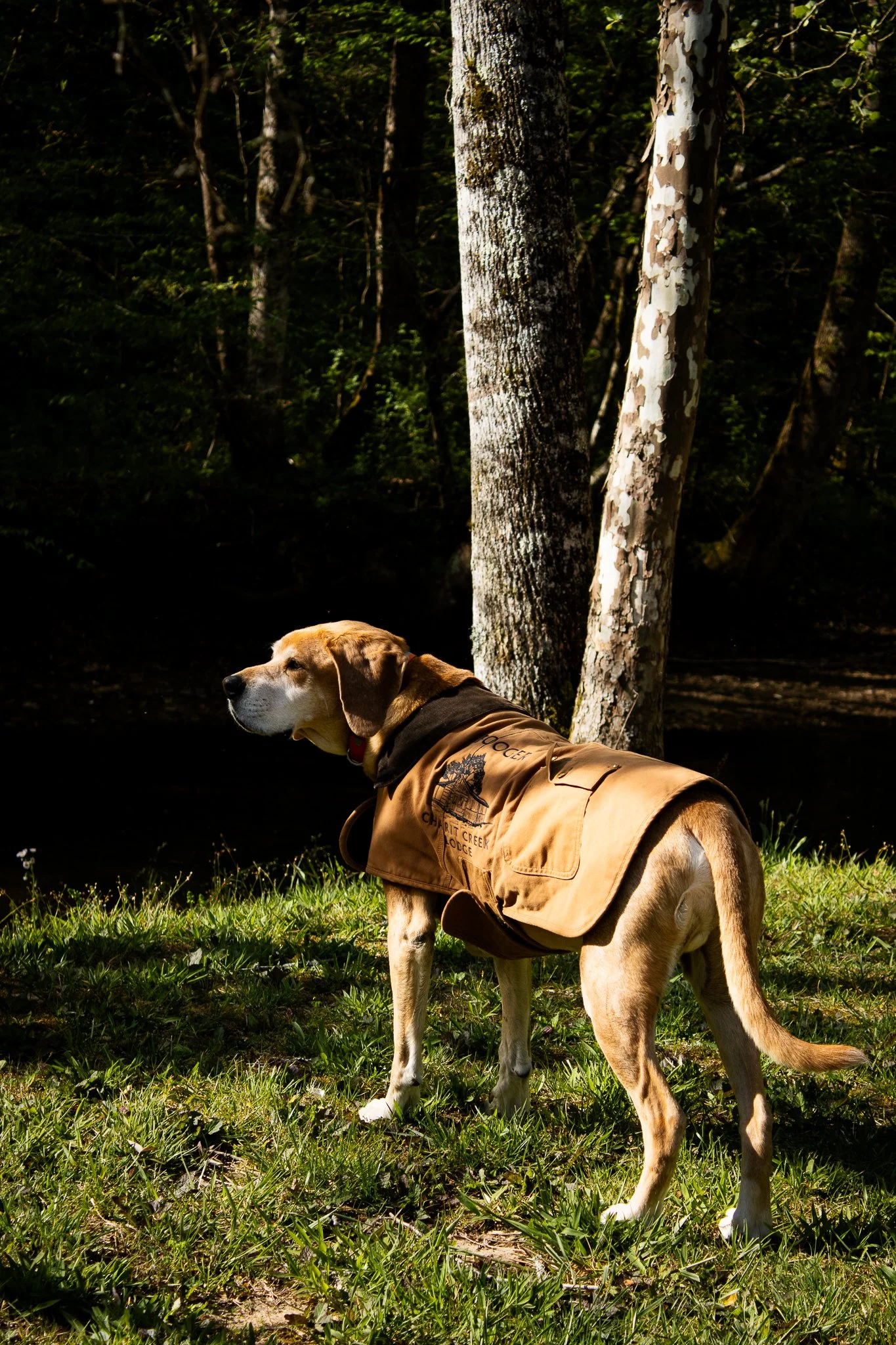 Charit-Creek-Shoot-118.jpg