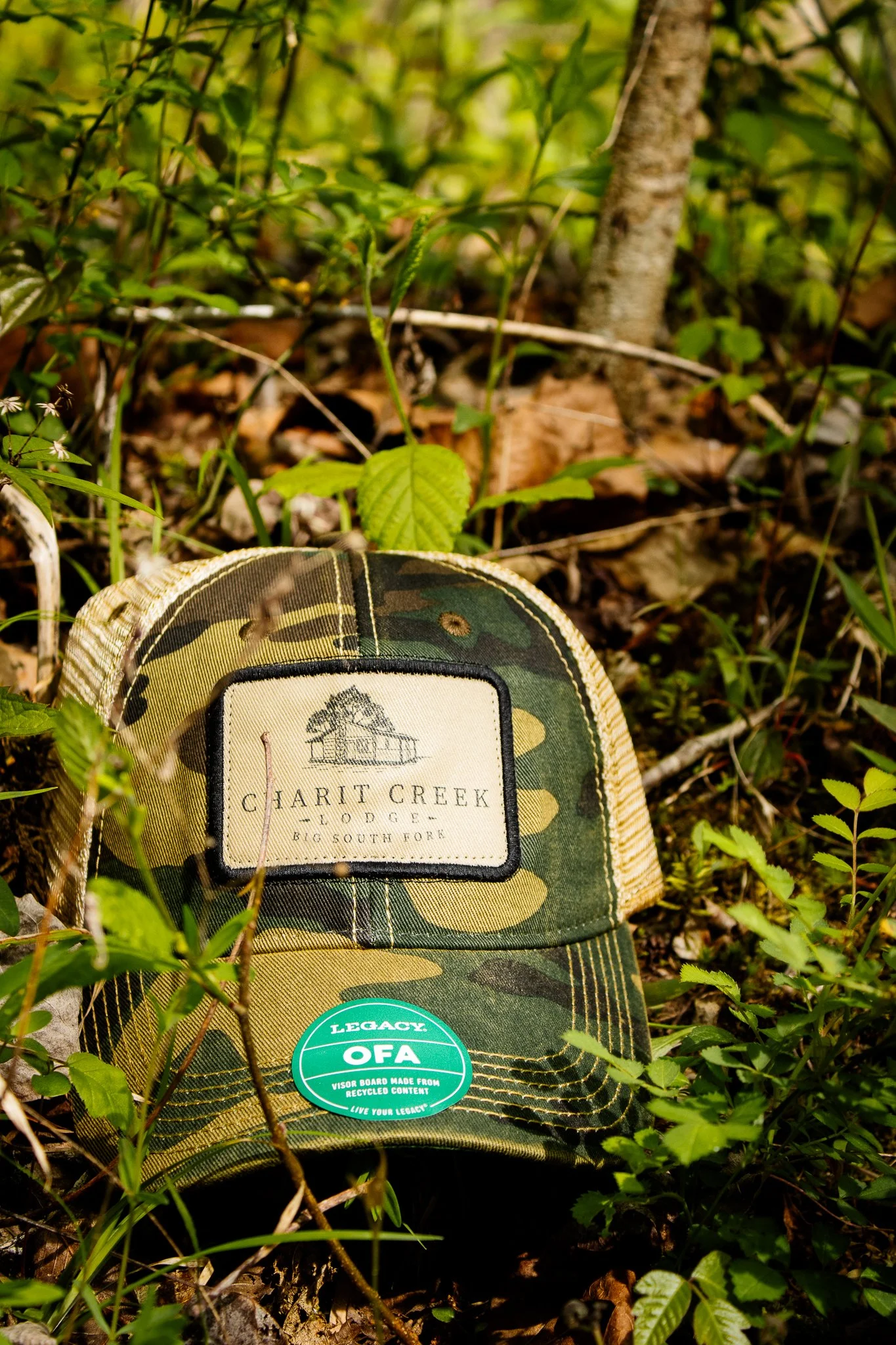 Charit-Creek-Shoot-155.jpg